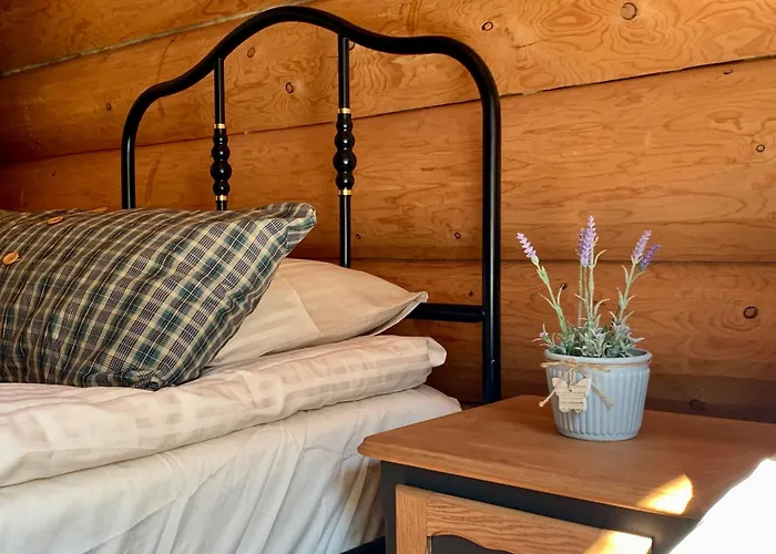 Dom wakacyjny Kasepuu House *